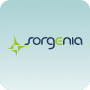 fornitore Sorgenia