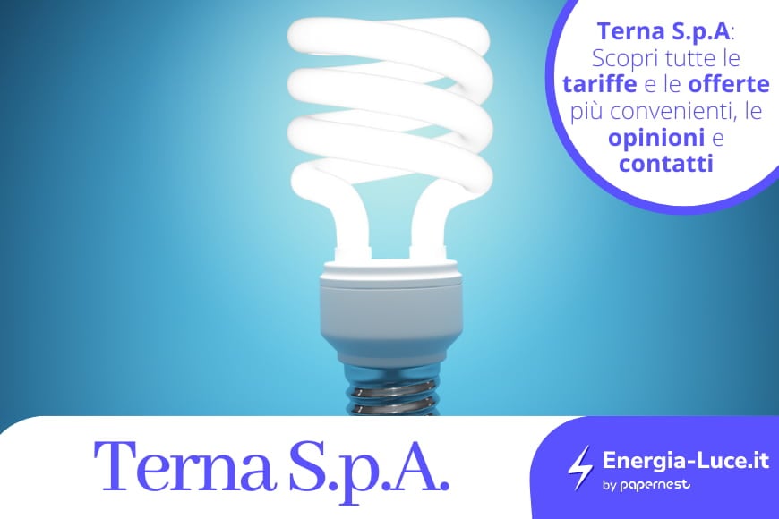 Che cos'è Terna SpA? Le attività, il numero verde e i contatti