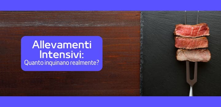 L’impatto ambientale degli allevamenti intensivi: “fake meat” o carne sintetica?